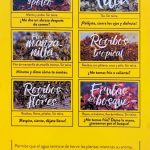 Infusiones Cocuiza | Cocuiza Brunch & Coffee Chueca Madrid